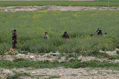 روز طبیعت با چاشنی کرونا