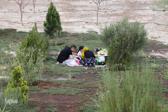 روز طبیعت با چاشنی کرونا