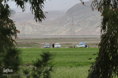 روز طبیعت با چاشنی کرونا