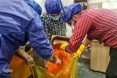 جشن روز طبیعت جهادگران در کنار بیماران کرونایی