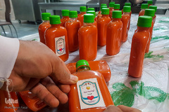 جشن روز طبیعت جهادگران در کنار بیماران کرونایی