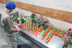 جشن روز طبیعت جهادگران در کنار بیماران کرونایی