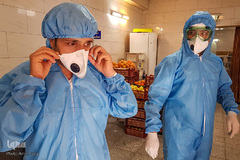 جشن روز طبیعت جهادگران در کنار بیماران کرونایی