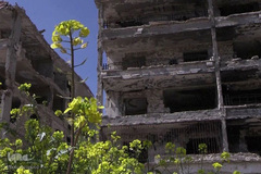 بازسازی شهر جنگ زده حلب