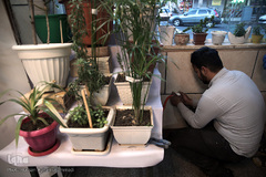 نصب روشویی در معابر عمومی برای شکست کرونا با همت گروه جهادی شهید ابراهیم هادی