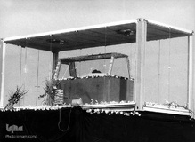 پیشوای انقلاب، حقیقت همیشه زنده