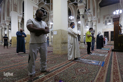 بازگشایی مساجد مصر پس از ۴ماه تعطیلی مقابله با شیوع ویروس کرونا