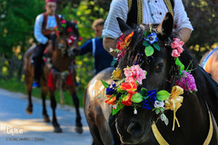 جشن گرامیداشت پانصد و دهمین سالروز ورود دین اسلام به کشور بوسنی و هرزگوین(ایوز دده)