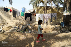 نهرهای بی‌آب، نخل‌های بی‌سر