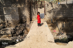 نهرهای بی‌آب، نخل‌های بی‌سر