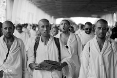 عزیمت زائرین بیت الله الحرام به عرفات