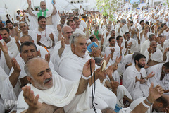 دعای عرفه حجاج ایرانی در صحرای عرفات