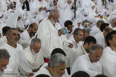 دعای عرفه حجاج ایرانی در صحرای عرفات