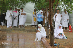 دعای عرفه حجاج ایرانی در صحرای عرفات