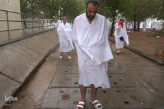 دعای عرفه حجاج ایرانی در صحرای عرفات