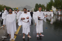 دعای عرفه حجاج ایرانی در صحرای عرفات