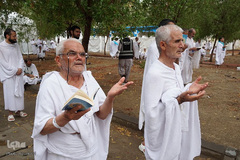 دعای عرفه حجاج ایرانی در صحرای عرفات