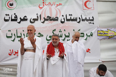 دعای عرفه حجاج ایرانی در صحرای عرفات