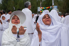 دعای عرفه حجاج ایرانی در صحرای عرفات