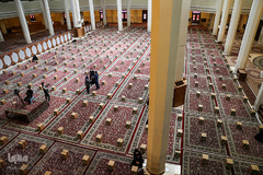 دستان کوچک «شیرخوارگان حسینی » یاری دهنده نیازمندان