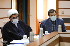 سلامت پناه، حمید محمدی