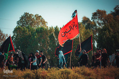 پیاده روی اربعین زائرین عراقی در مسیر بصره به کربلا