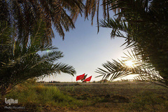 جلوه‌هایی زیبا، از خدمت‌رسانی به زائران اربعین در جنوب عراق