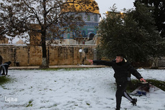 بارش کم سابقه برف در بیت المقدس