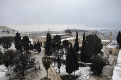 بارش کم سابقه برف در بیت المقدس