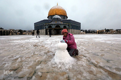 بارش کم سابقه برف در بیت المقدس