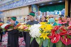 گل آرایی حرم مطهر امام حسین( ع) به مناسبت اعیاد شعبانیه