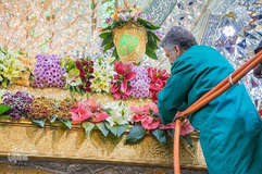 گل آرایی حرم مطهر امام حسین( ع) به مناسبت اعیاد شعبانیه