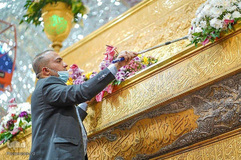 گل آرایی حرم مطهر امام حسین( ع) به مناسبت اعیاد شعبانیه