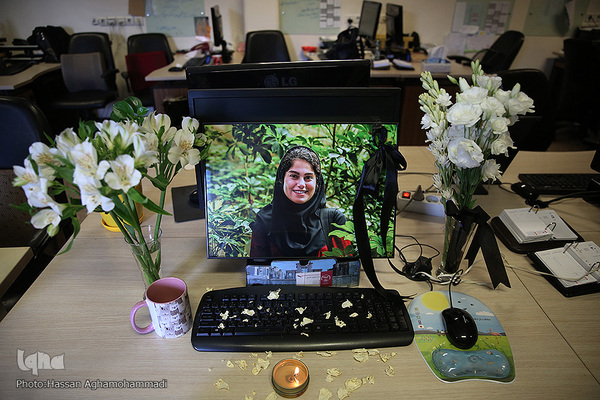 محل کار مهشادکریمی، خبرنگار حوزه محیط زیست ایسنا