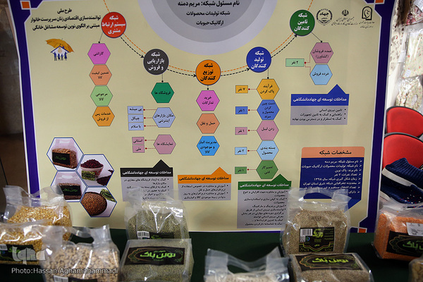 نشست «حمايت از زنان كارآفرين در دوران كرونا با تاكید بر بازار ديجیتال» در ژاپن و ایران