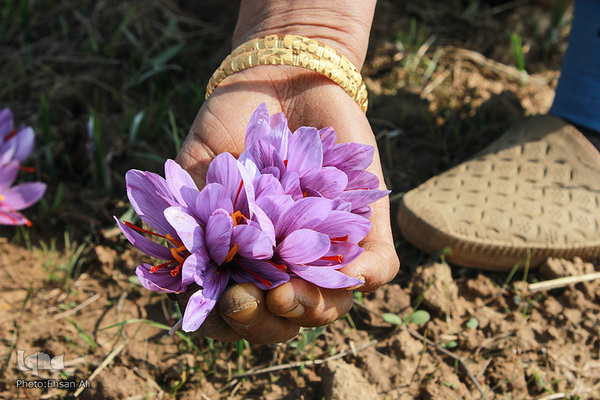 کشمیر؛ سرزمین زیبایی‌های طبیعی و مردمان باایمان