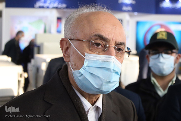 علی اکبر صالحی، قائم مقام فرهنگستان زبان و ادبیات فارسی