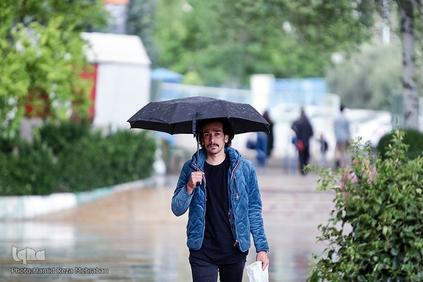 روز بارانی نمایشگاه قرآن