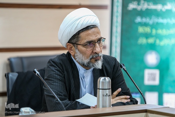 حجت‌الاسلام حمید محمدی، نشست شورای توسعه