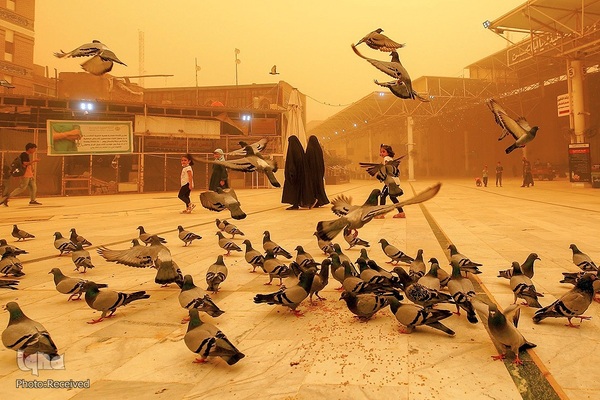 شست و شوی صحن و سرای حرم حضرت علی(ع) از گرد و غبار طوفان شن