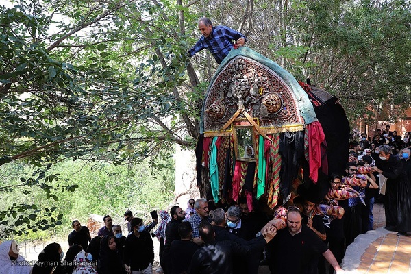 نخل‌گردانی روز عاشورا در روستای ابیانه