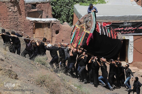 نخل‌گردانی روز عاشورا در روستای ابیانه