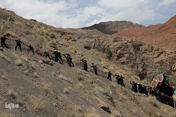 نخل‌گردانی روز عاشورا در روستای ابیانه