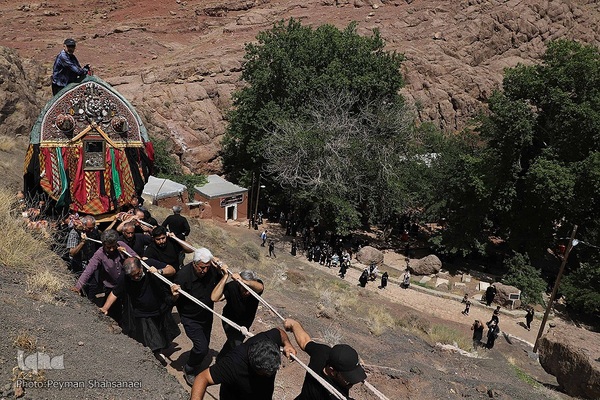 نخل‌گردانی روز عاشورا در روستای ابیانه