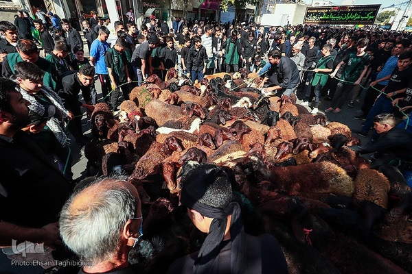 دسته عزاداری زینبیه اعظم زنجان در یوم الزینب