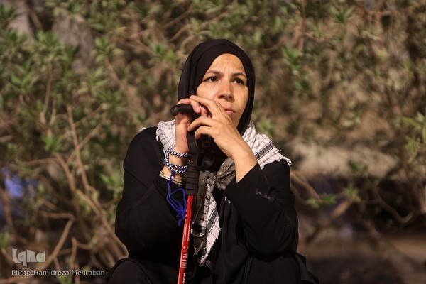 عشاق الحسین(ع) در طریق کربلا