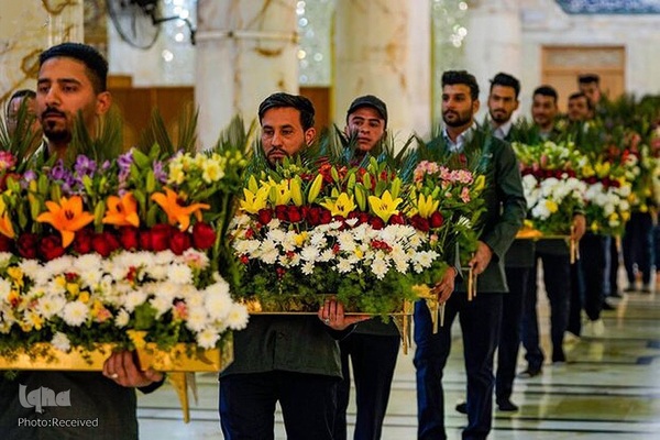 گل آرایی ضریح‌مطهر علوی به مناسبت سالروز ولادت امیرالمومنین حضرت علی (ع)