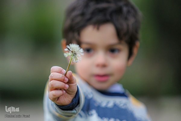 جلوه بهار در باغ ارم شیراز‎‎