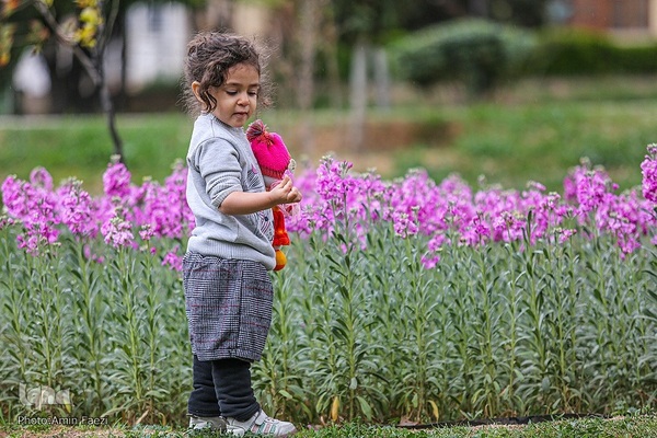 جلوه بهار در باغ ارم شیراز‎‎