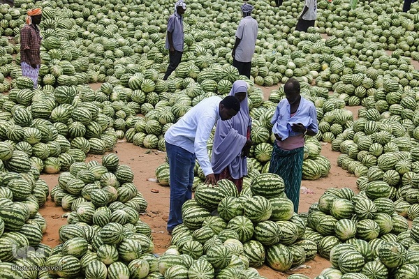 جشن رمضان در ملل مسلمان